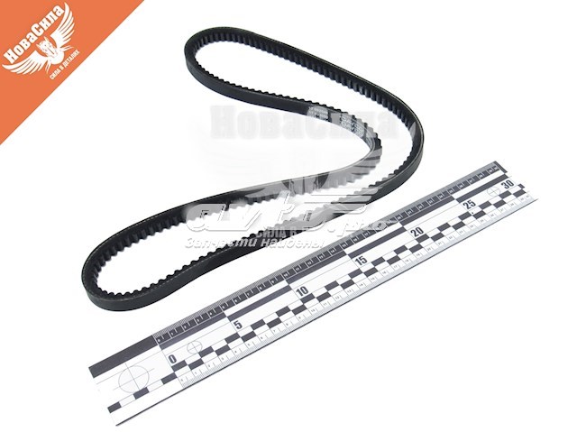 13A1125C Dayco Correa poly v