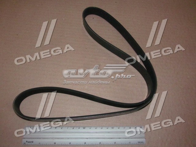 Comprar 6PK1059 Dayco Correa trapezoidal
