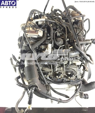 Comprar BKS VAG Motor completo