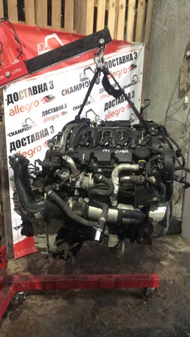 D4204T Peugeot/Citroen Motor completo