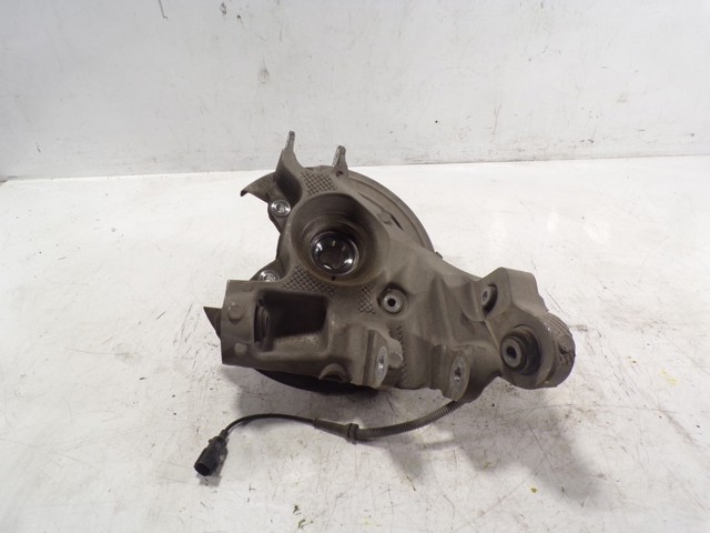 Muñón de eje, cuerpo del eje, trasero izquierdo  Land Rover LR079296