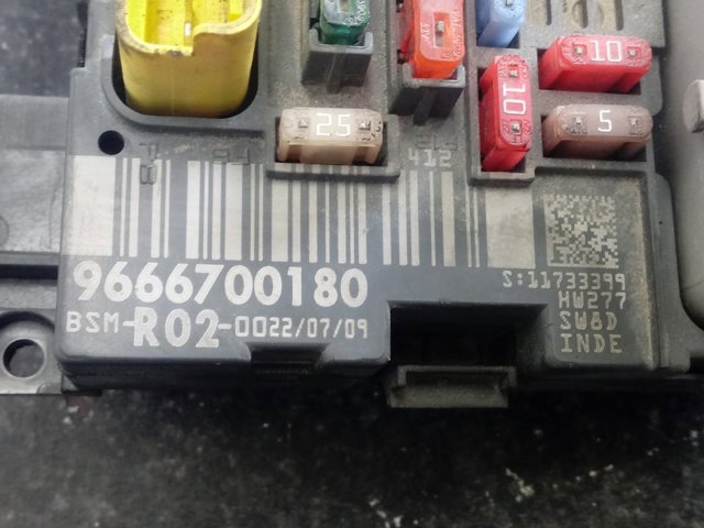  9666700180 Peugeot/Citroen