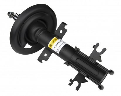 RS317420 Raiso Amortiguador frontal