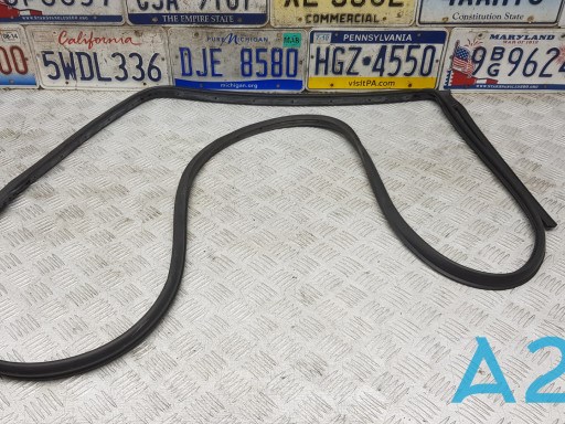 55399215AE Chrysler junta de puerta trasera izquierda (en puerta)