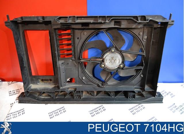  9682720480 Peugeot/Citroen