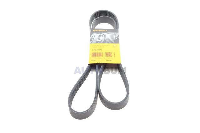 7PK1570 Continental/Siemens Correa poly v