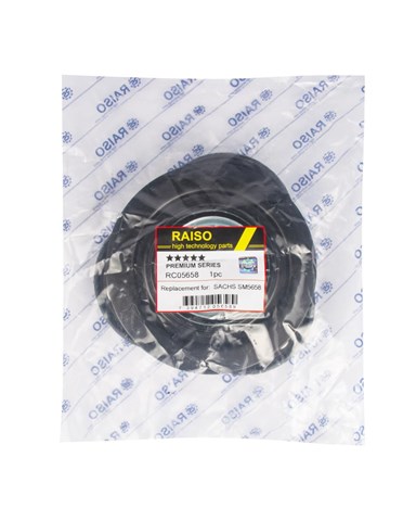 Soporte del amortiguador delantero Raiso RC05658 precio, desde 22,46 EUR