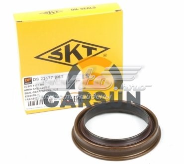 Retén del semieje trasero DS23177SKT DP Group