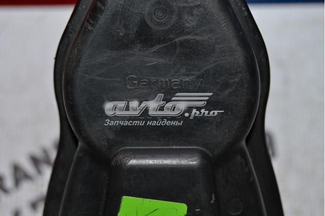 440010007R Renault (RVI) 