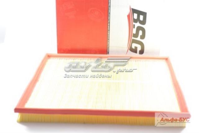 BSG 30-135-025 BSG filtro de aire