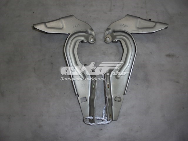 Bisagra, capó del motor derecha MITSUBISHI MN175242