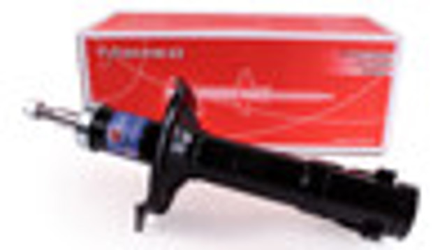 RS170381 Raiso Amortiguador frontal