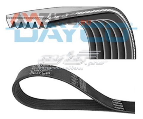 Comprar 6PK720 Dayco Correa trapezoidal