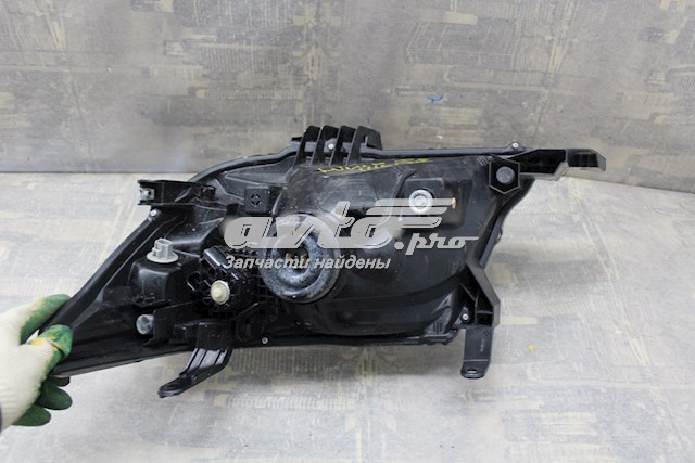 Faro derecho 811100K401 Toyota