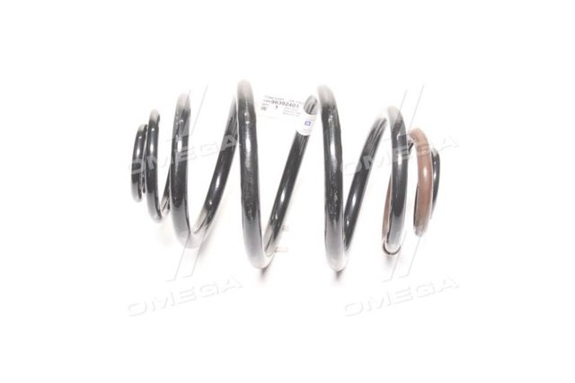 Muelle 96392401 General Motors