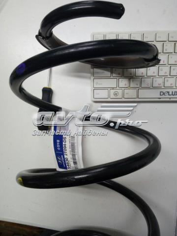Muelle delantero Hyundai/Kia 546302T094 precio, desde 58,14 EUR