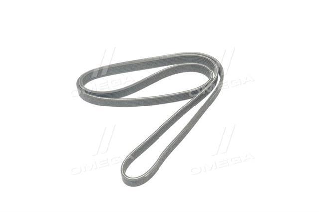 Comprar 6DPK1825 Dayco Correa trapezoidal