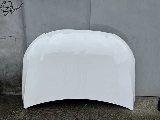 Comprar 9816972680 Peugeot/Citroen Capó