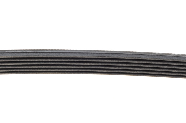 6PK970 Continental/Siemens Correa poly v