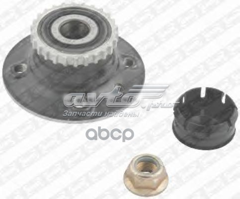 R155.60 NTN cubo de rueda trasero