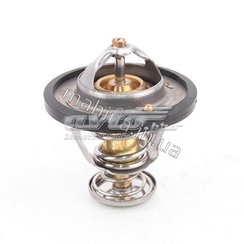 1018020600 BYD Termostato de agua