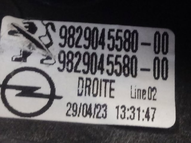 9829045580 Peugeot/Citroen Bomba de vacío de frenado