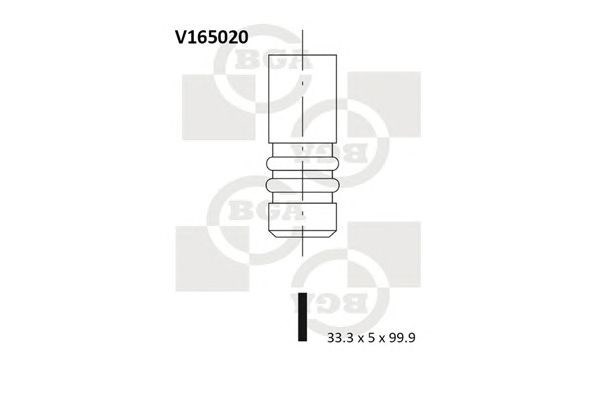V165020 BGA válvula de admisión