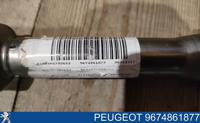 Comprar 9674861877 Peugeot/Citroen 