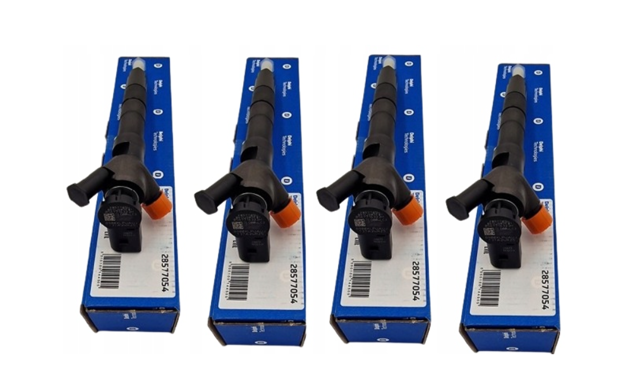 Inyectores Delphi 28577054 precio, desde 203,28 EUR