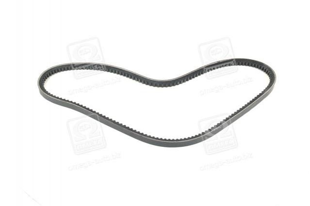 13A1050C Dayco Correa poly v