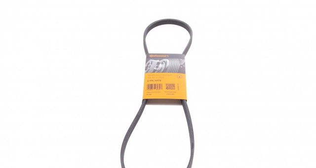 4PK1075 Continental/Siemens Correa poly v