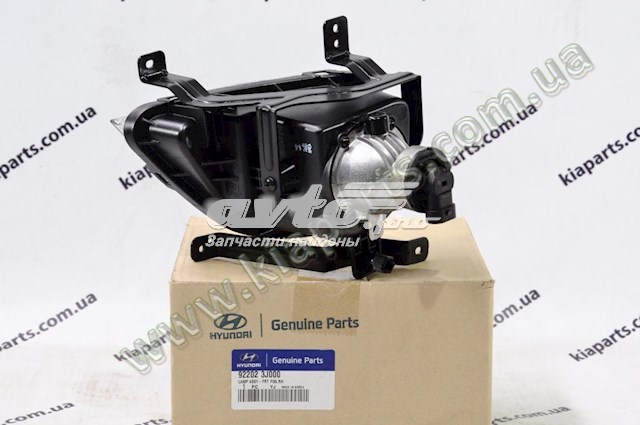 Luz antiniebla derecha Hyundai IX55 