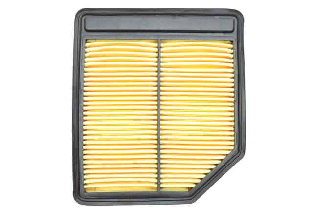 WH2018 Wunder Filtro de aire de motor