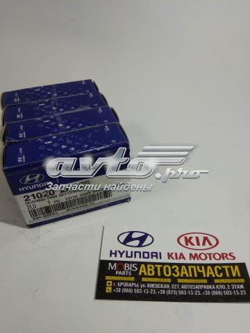 210202A925 Hyundai/Kia juego de cojinetes de cigüeñal, estándar, (std)