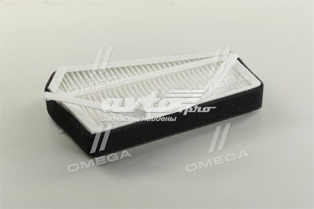 RD61J6CU17003 Rider Filtro antipolen