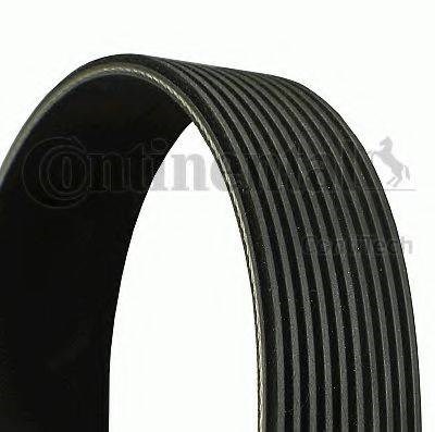 Correa de transmisión trapezoidal Continental/Siemens 10PK1570 precio, desde 51,91 EUR