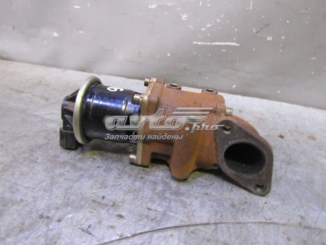 Comprar EGR Honda Accord 7 (CL, CM)