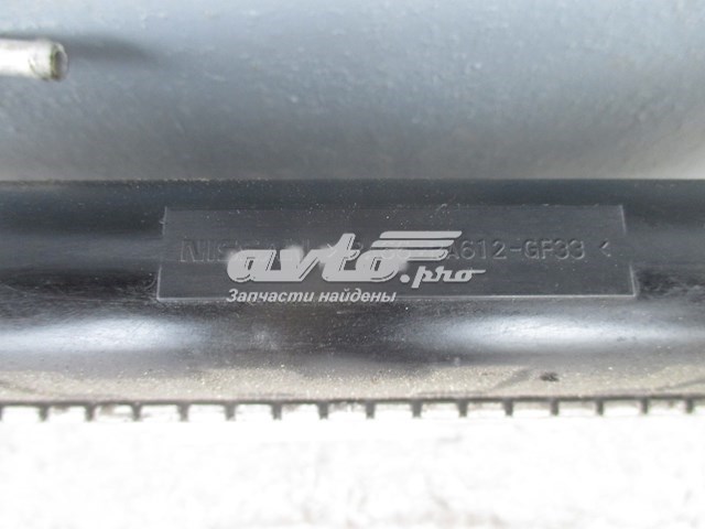Radiador de água Nissan Murano Z51