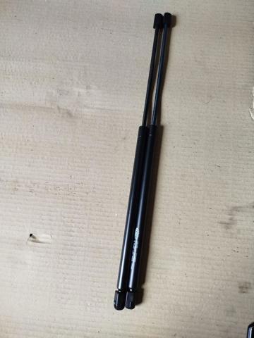 GS0143 Magneti Marelli Amortiguador de porton