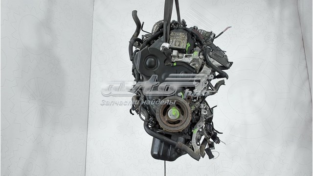 0135GK Peugeot/Citroen motor completo