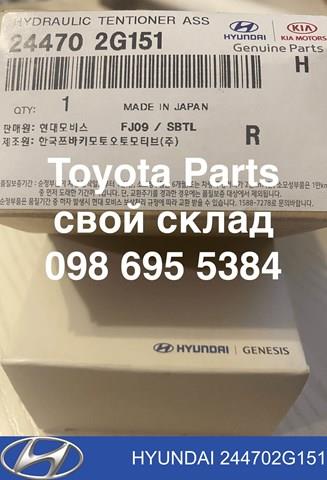 Tensor de cadena de bomba de aceite Hyundai/Kia 244702G151 precio, desde 44,40 EUR