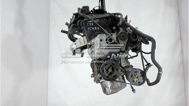 06A100098X VAG motor completo