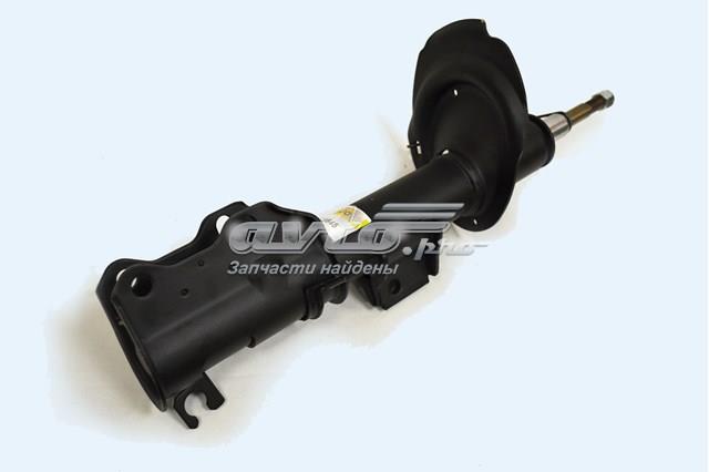 Amortiguadores Raiso RS311645 precio, desde 68,88 EUR