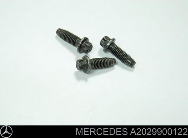 A2029900122 Mercedes