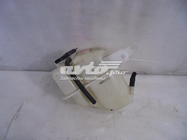 254313K000 Hyundai/Kia botella de refrigeración