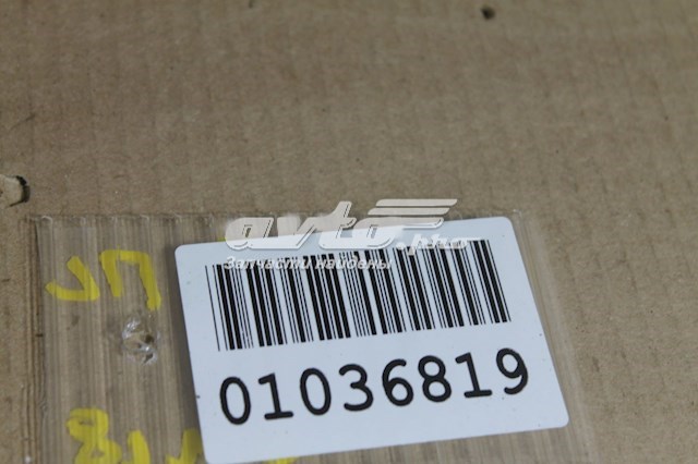 Elevalunas para Toyota Corolla VERSO R10