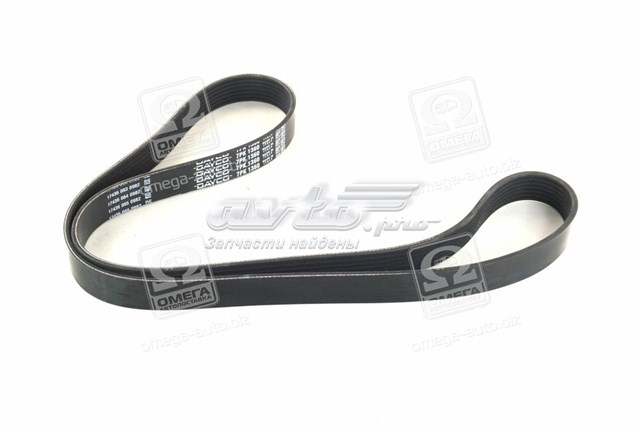 Correa de alternador 7PK1360 Dayco