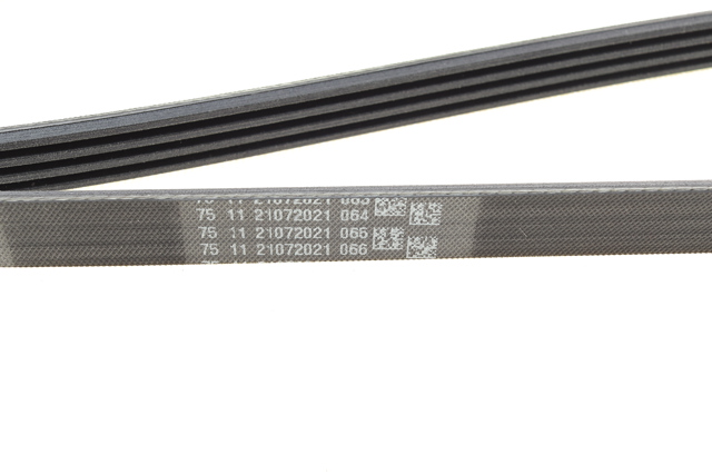 4PK1590 Continental/Siemens Correa poly v