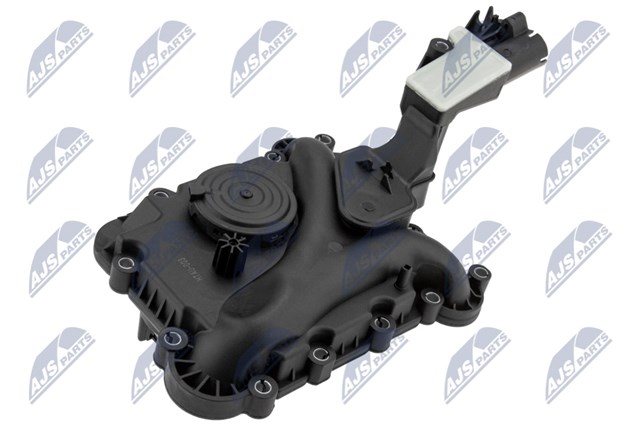Válvula ventilación cárter NTY EPCVAU003