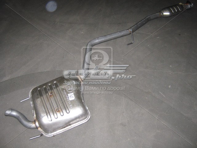 13164 Polmostrow Silenciador central y trasero